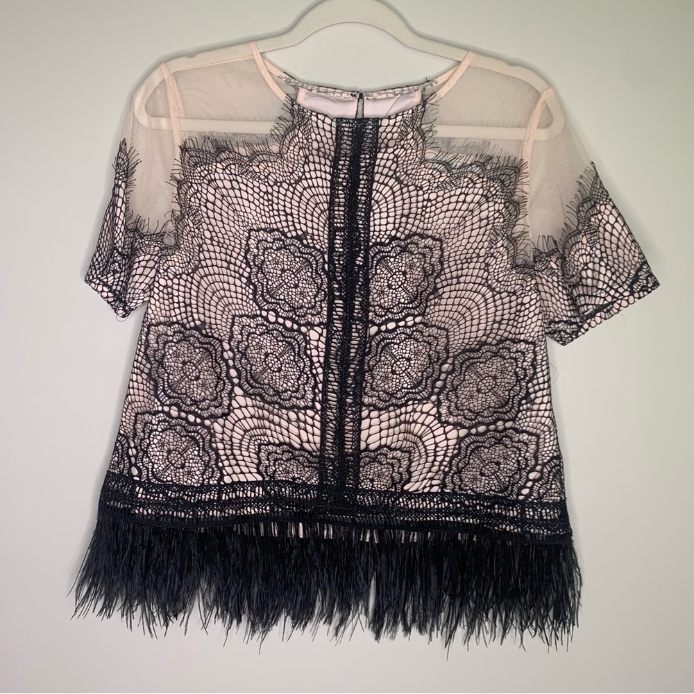 Sheer Pink Lace Overlay Blouse with Black Embroidery and Fringe